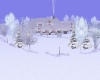 Winter Home III