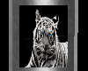[SD] Tiger Picture