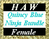 Quincy Blue Ninja (B)