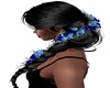 Black Braid/Blue Flowers