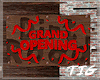 DR Grand Opening