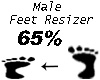 [Z] Feet Resizer 65%