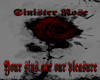 Krymson Rose Banner