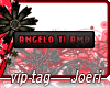 j| Angelo Ti Amo