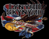 Lynyrd-Skynyrd3.