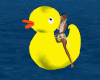 WATER DUCK ANIMATED