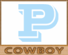 P Letter Sticker