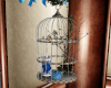 Holiday Bird Cage