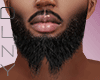 Beard