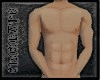 [G] Muscle Bundle