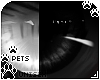 [Pets]Neuro |eyes 2-T v1
