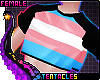 🌈 Trans Pride Shirt F