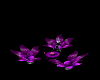purple flower chairs