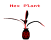 Hex Plant