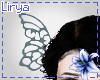 Butterfly Wings Qi Loli