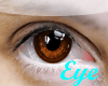 [IB]Toffee Eyes (F)