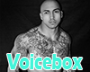 OG Male VoiceBox