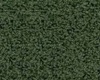 green plush carpet