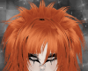 ✩ copper floof