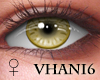 V; Sublime amber eyes