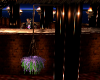Plants Suspendue (V2"K")