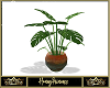 Rustic Planter