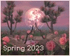 Spring Lake 2023