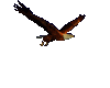 Animated eagle