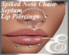 PIERCINGS SET SILVER ℰ