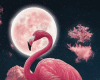 6v3| Flamingo & Moon