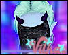V* .a veil.