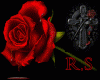 R.S ROSES CANDLES