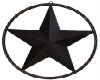 Texas Star with Rope