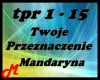 Twoje przeznaczenie