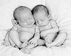 [RQ]Baby Twins