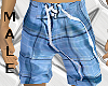 (LL)XKS IceBlu Shorts(M)