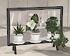 Modern Plants/Fountain
