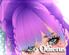 Unicorn Bangs - Q