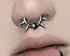 Spiked Septum