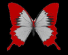 Papillon rouge&argenté