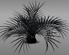 Dark (Pointy) Plant