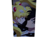 Sailor Moon Cutout
