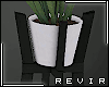R║ Modern Plant
