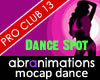 Pro Club 13 Dance Spot