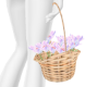 Flower Basket 