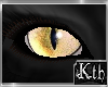 Kth Cat Eyes Bgy