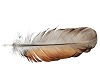 feathers around me