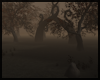 Spooky Hallows Forest V2