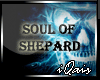 DJ Soul Of Shepard