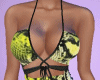 RLL Snake Yellow